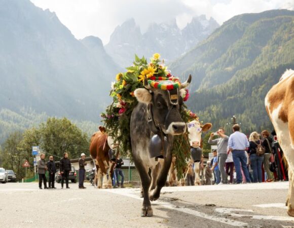 Découvrez de nouveaux horizons
