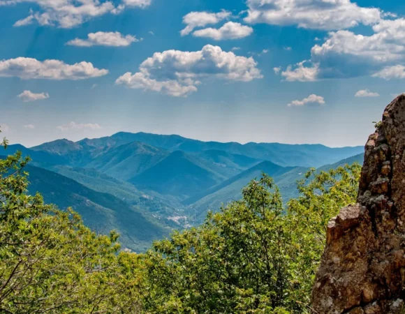Trésors des Cévennes