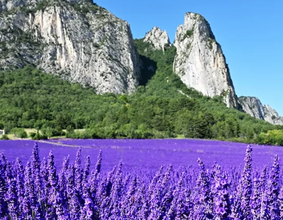 Journée gourmande & dansante