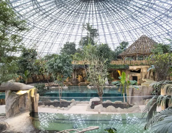 ZooParc de Beauval & Château de Chenonceau